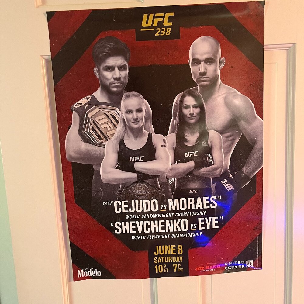 UFC 238 Cejudo v Moraes Shevchenko v Eye Promo Fight Poster 18 x 24 Modelo